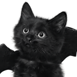 LOVER OF CATS