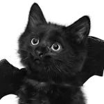 LOVER OF CATS Group Thumbnail