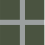 South Cosecian National Police Force