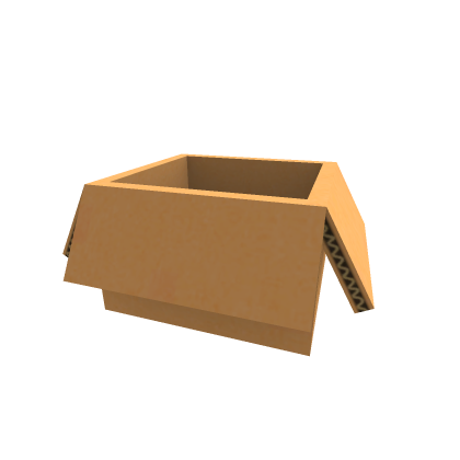 Cardboard Box