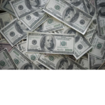 •.| Tax Collectors! |.•