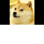 Woof woof.....