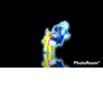 Phoenix's Gamer Group
