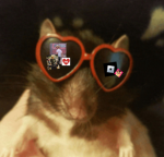 r@tzzzz