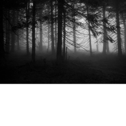 Try to SURVIVE the Monsters BENEATH...