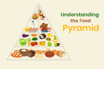 The Food Crusaders