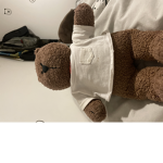 The bear bear world