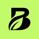 Bloom Games LLC