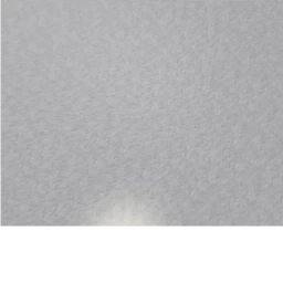 snow icon