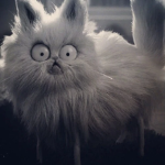 KittyCat Productions