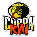 Cobra Kai Dojó Training