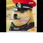doge _ army