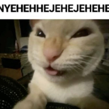 obby but you're a jojsi