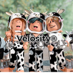 Velosity