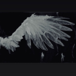 lilsammirxses aesthetic clothing