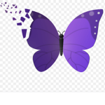 Butter fly team for life xoxo