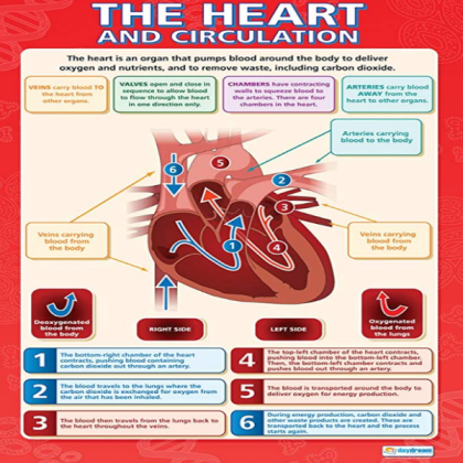 the heart science Roblox decal