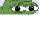 Lil frog fans