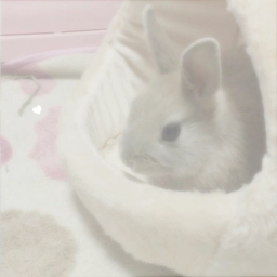 ੭🥛୧