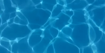 Shark Attack : SOTF