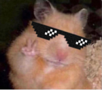 *tHe rAtS*