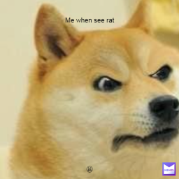 Doge hangout (revmamp) (DEMO)