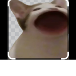 epic gamer popcat