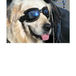 RobloxBR+
