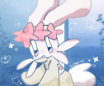 みかんと遊ぼう