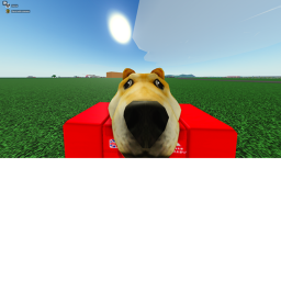 War game dog