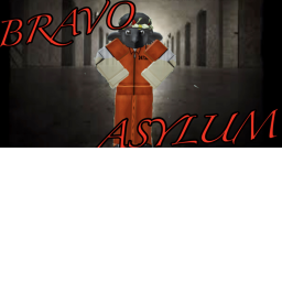 BRAVO ASYLUM