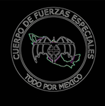 CUERPO DE FUERZAS DE LA RIBEREÑA