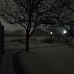 ☃꙳·❅°*˖