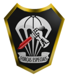 BFE (Batalhão de Forças Especiais)