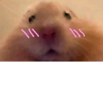 HUGO?