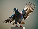 pigeons bank