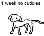 furry in distress