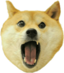 Doggo.GG Studio