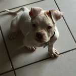 Karma is cute