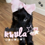 kwula