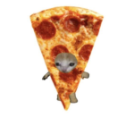 *Pizzas*