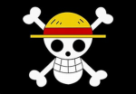 .The StrawHat Pirates.