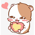 Cute pets hamsters