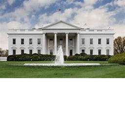 The White House