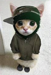 go ninja