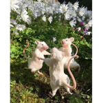*+.the.rats!!Tea.Party.+*