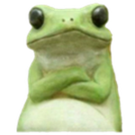 RanaSquad