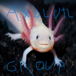 AXOLOTL GROUP :) hehehe axolotls