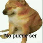 grupo de pagos del cole