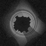 The Family of Eviternity
